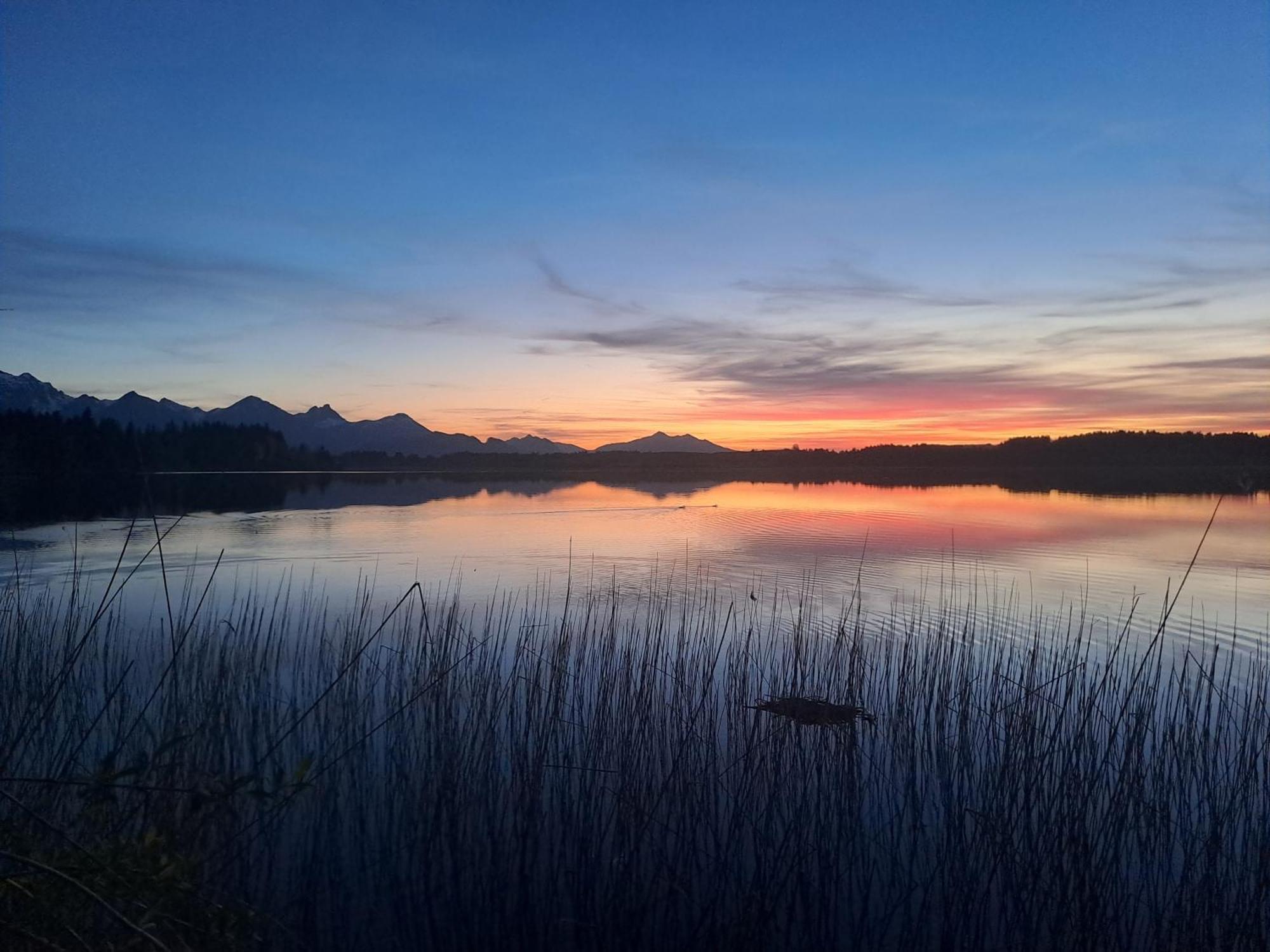 Allgaeu-Genuss ฮาลเบลค ภายนอก รูปภาพ